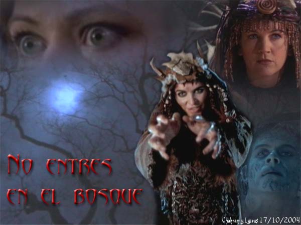 No entres en el bosque